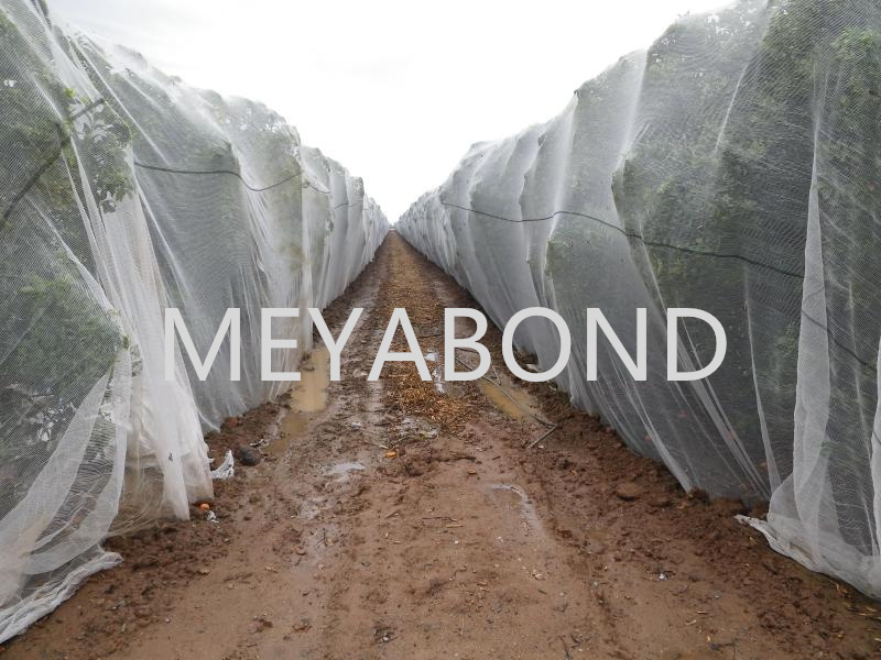 Protect Your Assets with Anti-Hail Net Plastic Rolls: A Comprehensive Guide