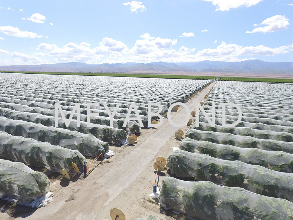 Understanding Anti-Bee Netting: A Vital Tool for Sustainable Agriculture