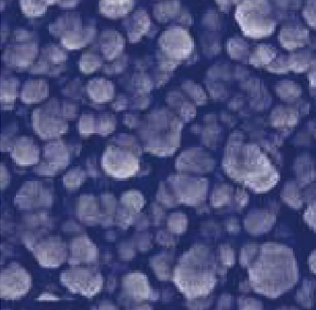 HASTILITE NANO SIC