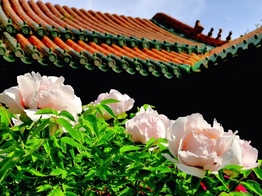 生花妙筆 繪就館校合作新場(chǎng)景 生花妙筆 繪就館校合作新場(chǎng)景