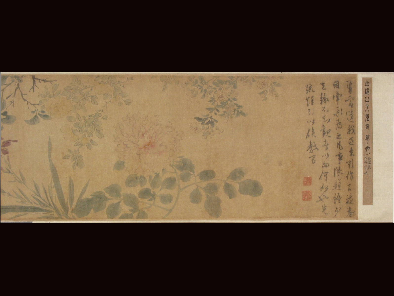 陳淳百花圖卷