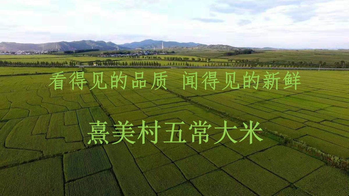熹美村五常大米——好山、好水、好米
