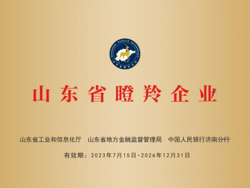 Shandong gazelle enterprises