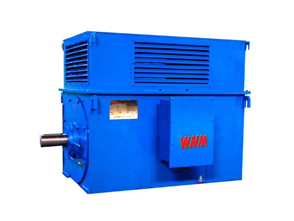 Y系列中型高壓高效電動(dòng)機