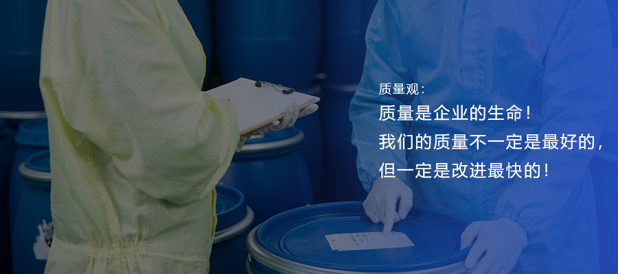 公司理念