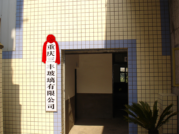 2009年3月  公司成立