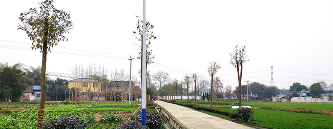 Supported the construction of a new countryside in 2010, and donated to sponsor the construction of a 2km village road in Majiawan, Jiquan Town