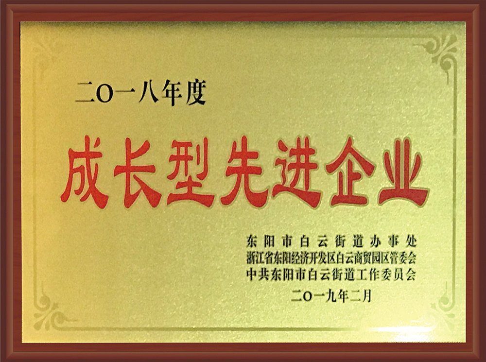 成長型先進(jìn)企業(yè)