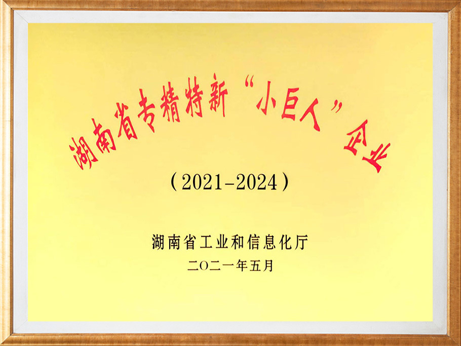 湖南省專(zhuān)精特新“小巨人企業(yè)”