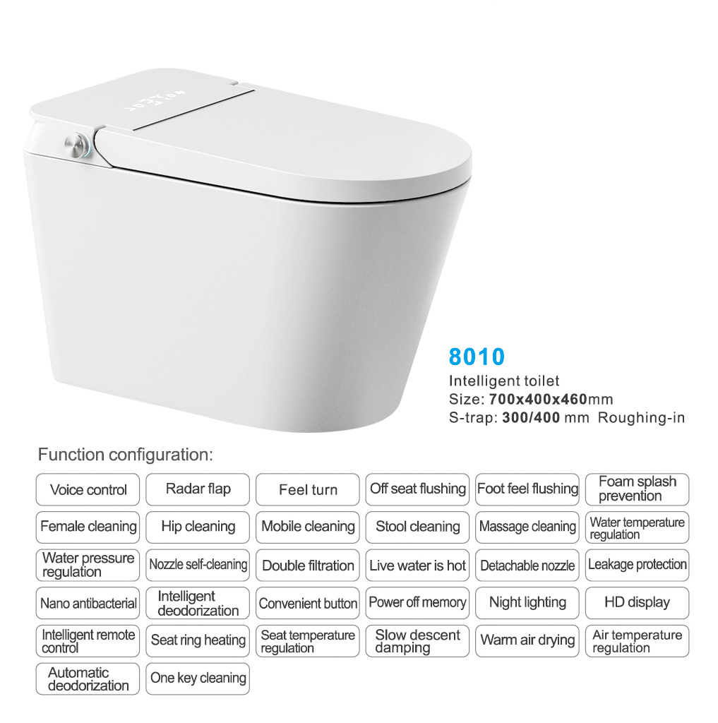 8010-Intelligent toilet China