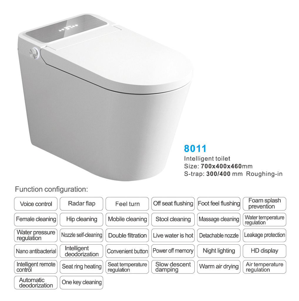 8011-China Intelligent toilet