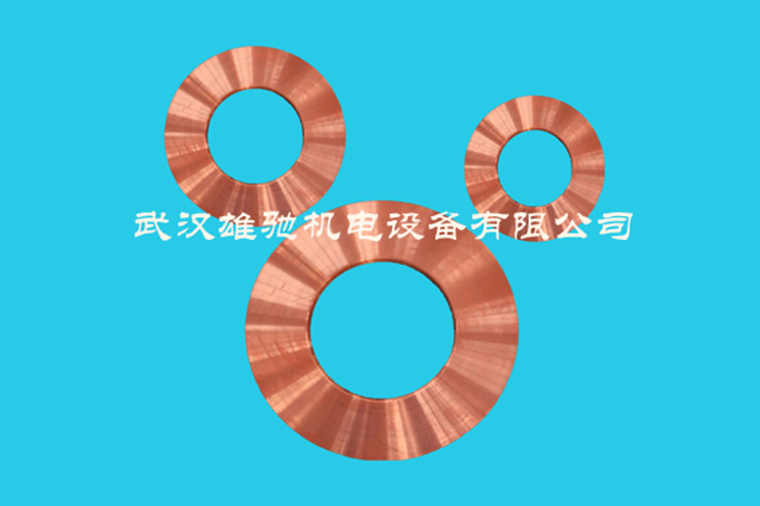 Motor end ring series