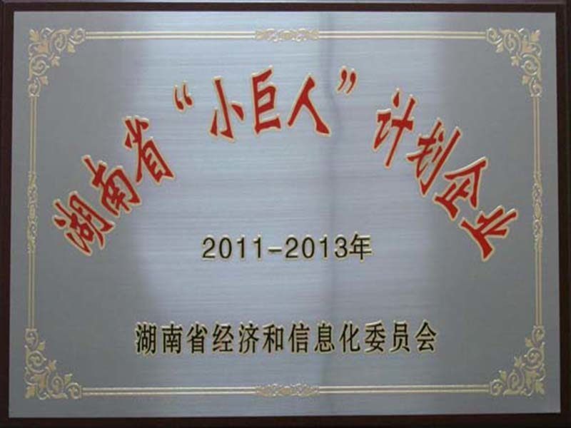 湖南省小巨人計劃企業(yè) 湖南省小巨人計劃企業(yè)