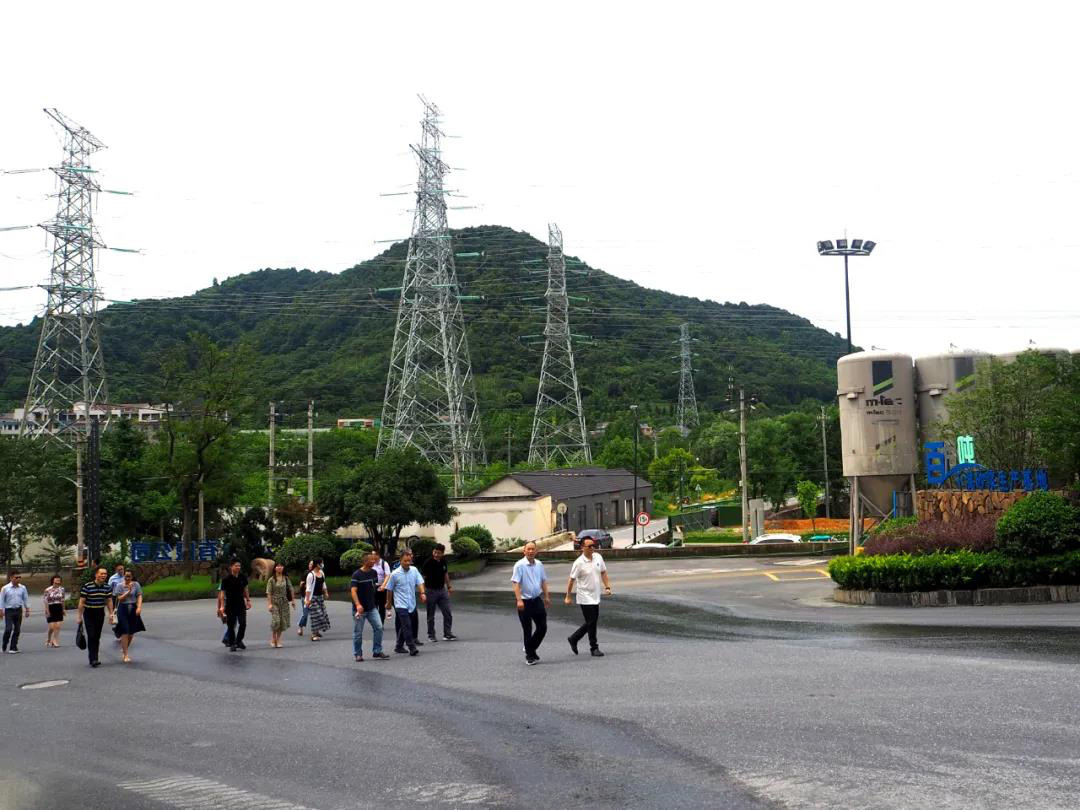 杭州市建委、市墙散中心赴墨泰股份走访调研，就行业绿色发展助推高质量发展开展座谈交流