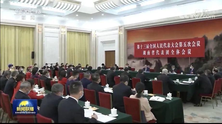 全國人大代表劉飛香建諍言獻良策：堅持創新驅動，在打造具有核心競爭力的科技創新高地中擔當作為