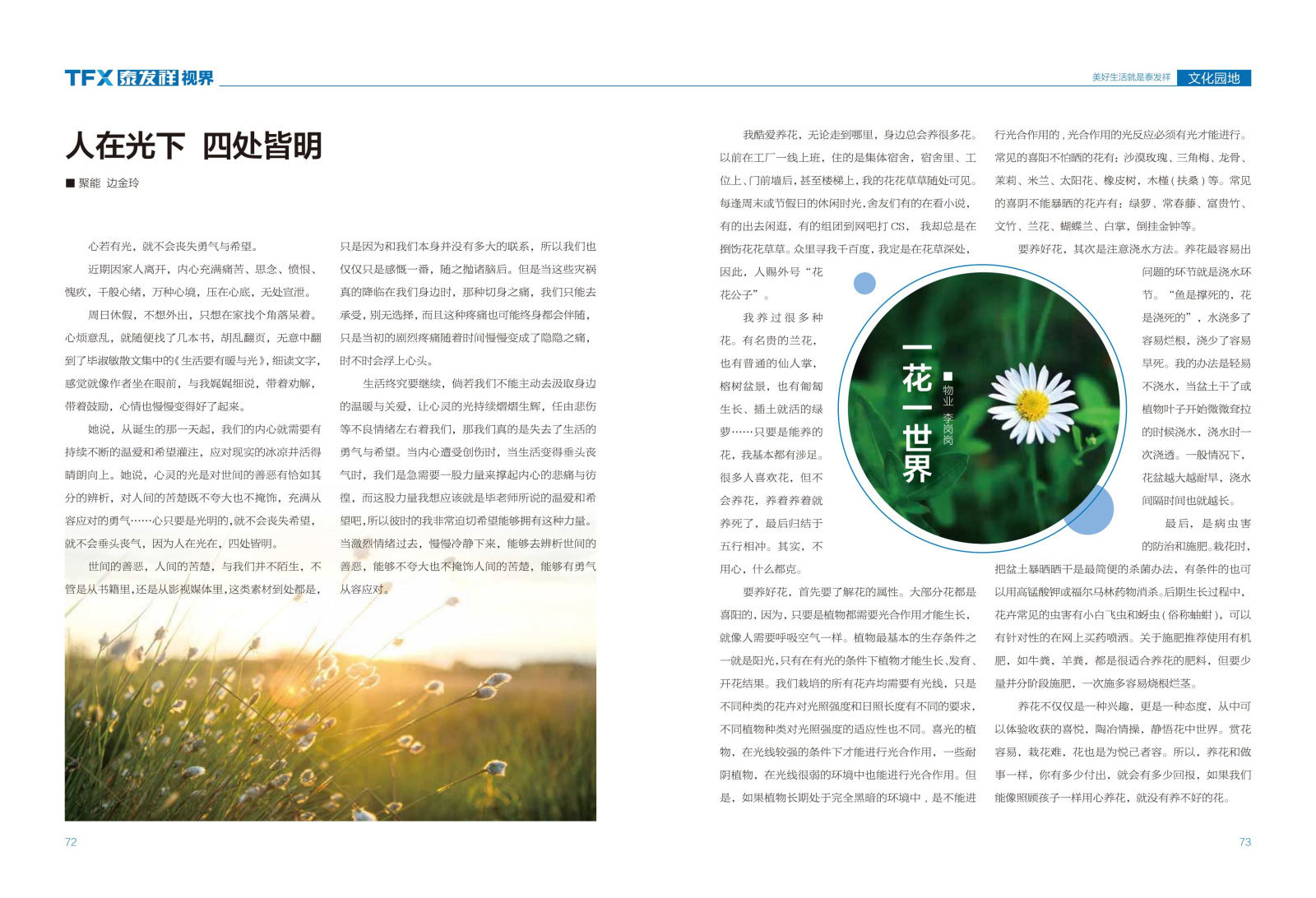 wm视讯视界第十三期
