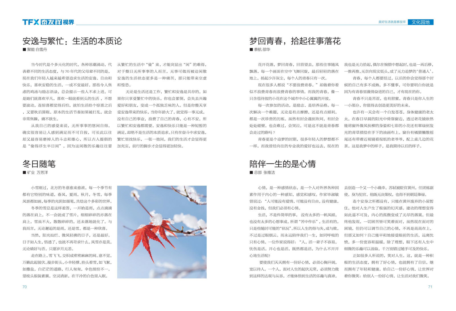 wm视讯视界第六期