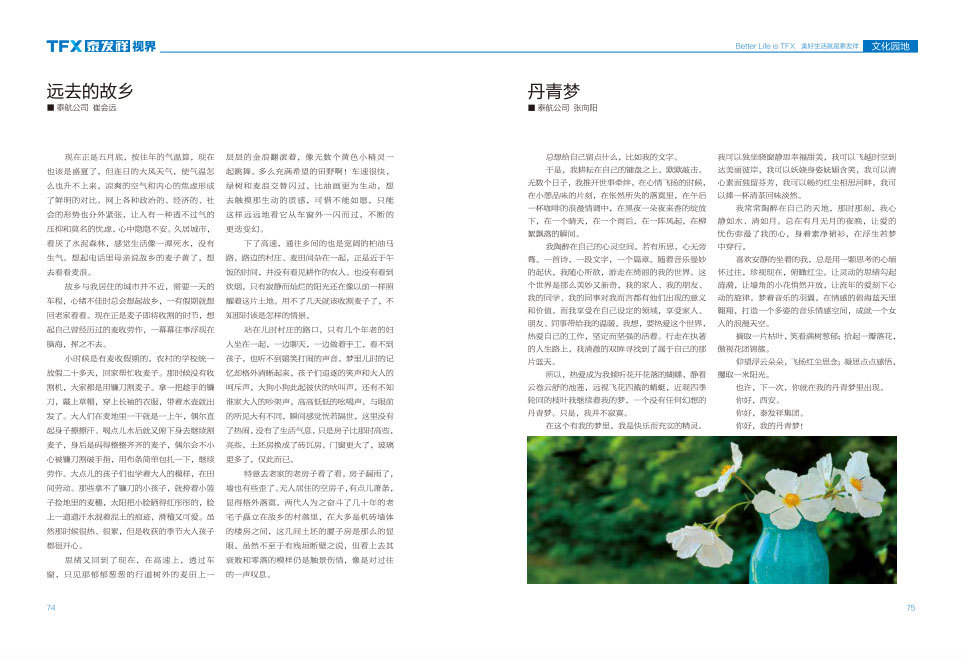 16877太阳集团视界第四期