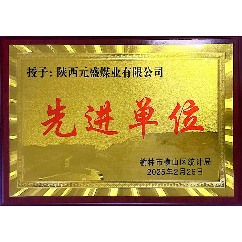 2025年先进单位