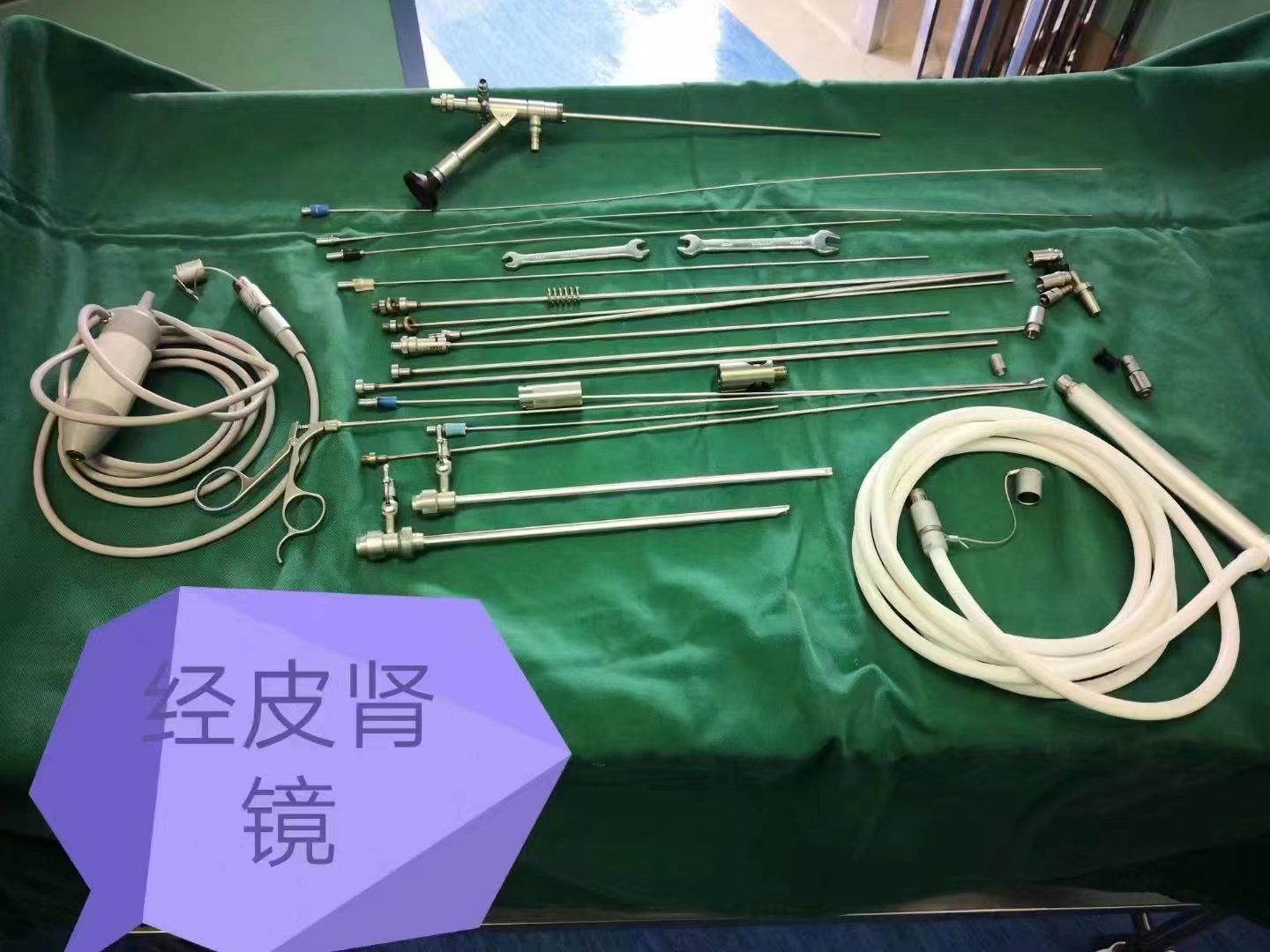 泌尿外科