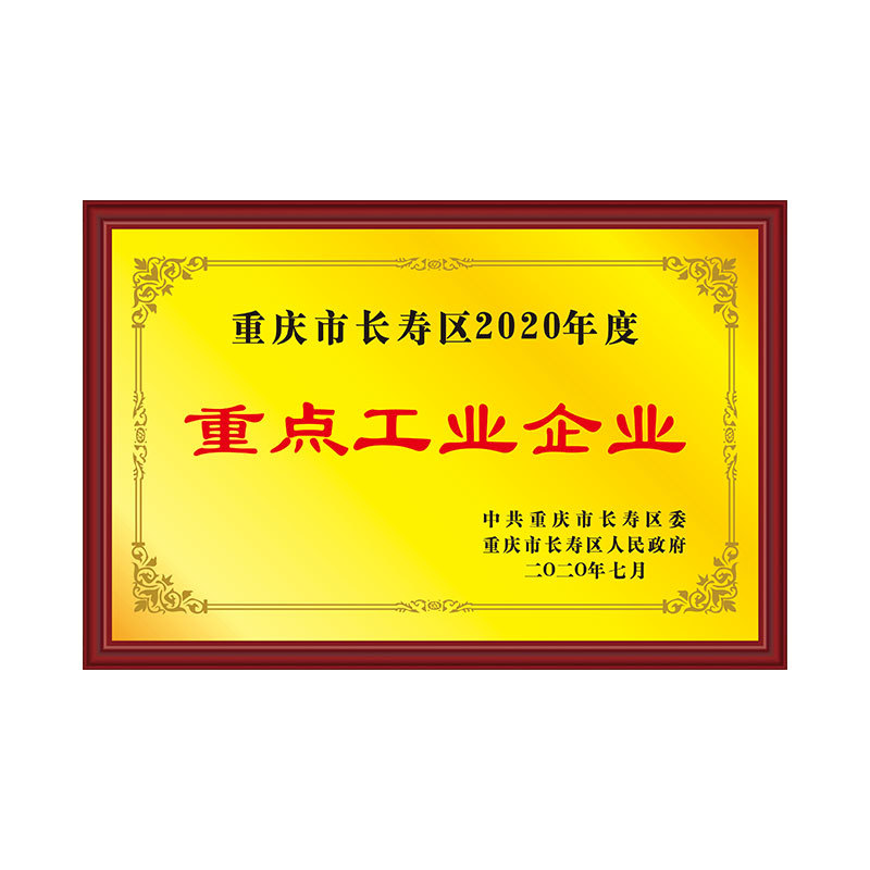 2020重点工业企业