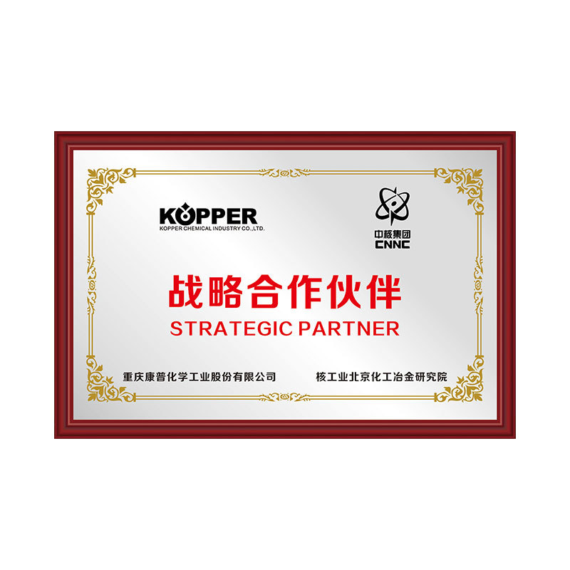 中核集团战略合作伙伴