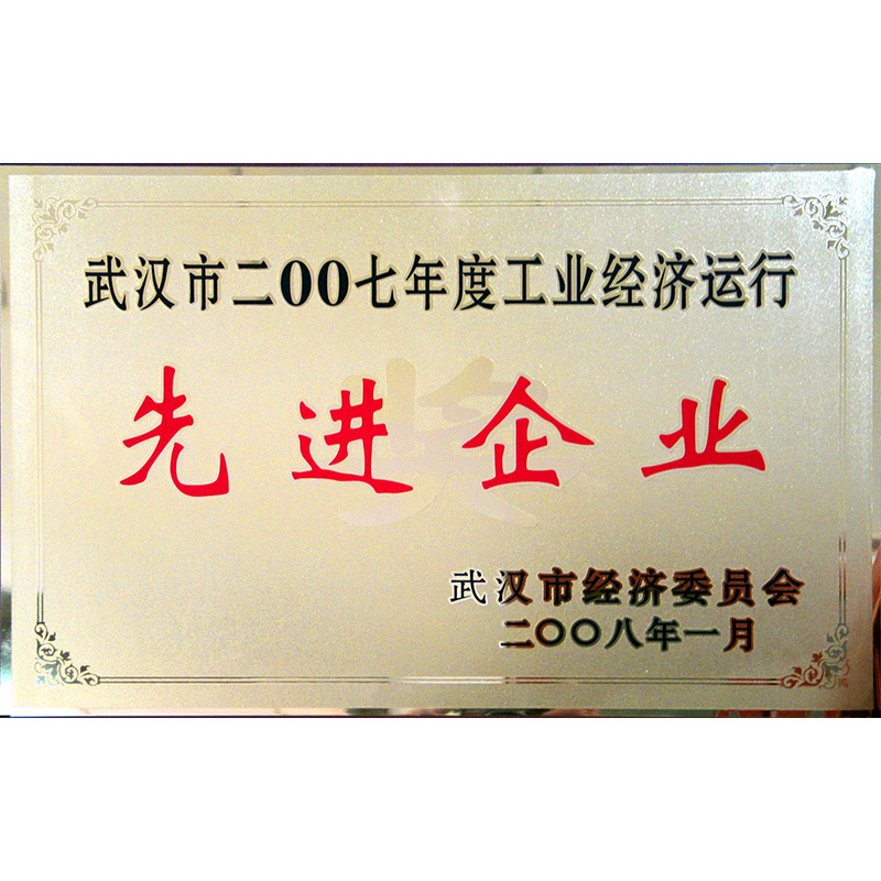 2007年度武漢市工業(yè)經(jīng)濟(jì)運(yùn)行先進(jìn)企業(yè)