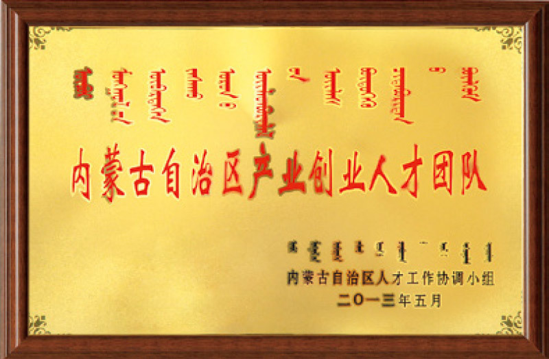 荣誉资质