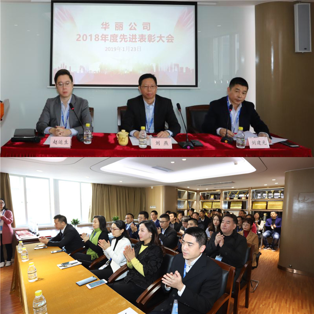 公司召开2018年度先进表彰大会