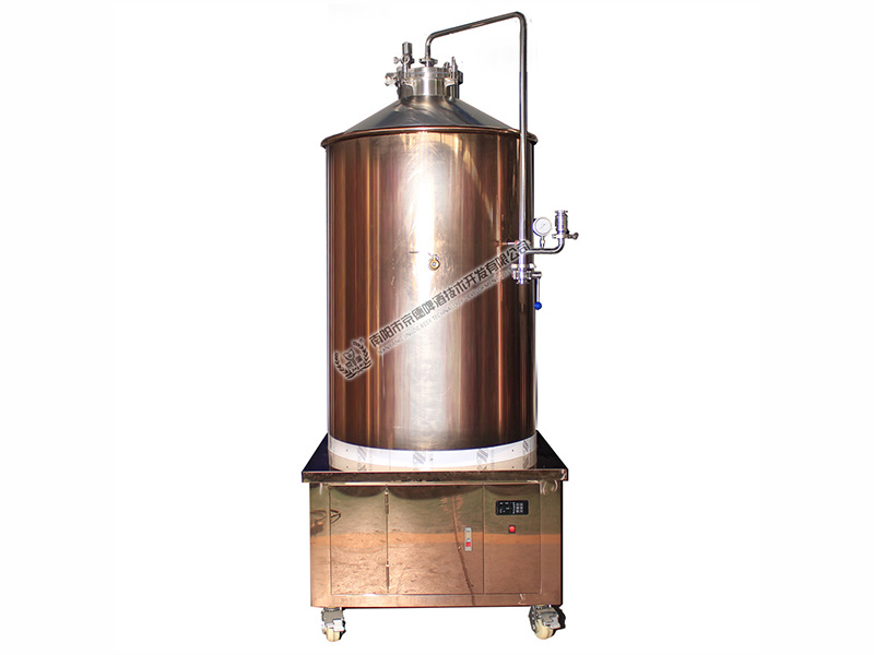 500 Liter Rose Gold Fermentation Tank