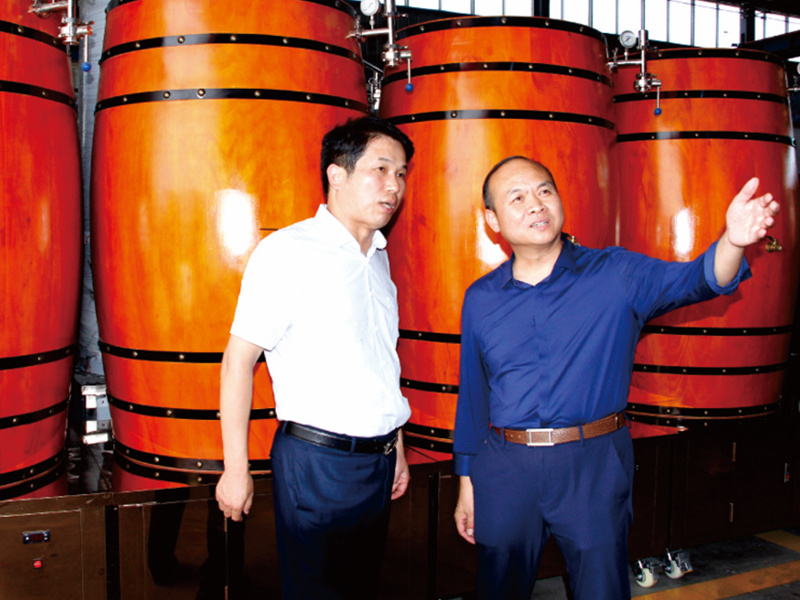 Former Vice Mayor of Nanyang City, Mr. Zhang Mingti, visited Jingde Company to inspect the work.