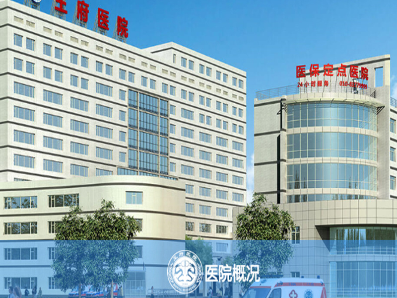 北京王府中西医结合医院