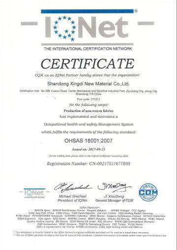 Occupational Health and Safety Management System Certification