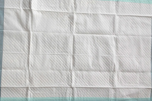成人失禁用品