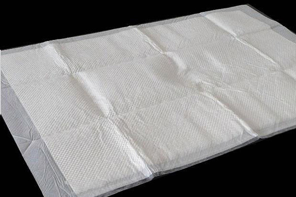 成人失禁用品