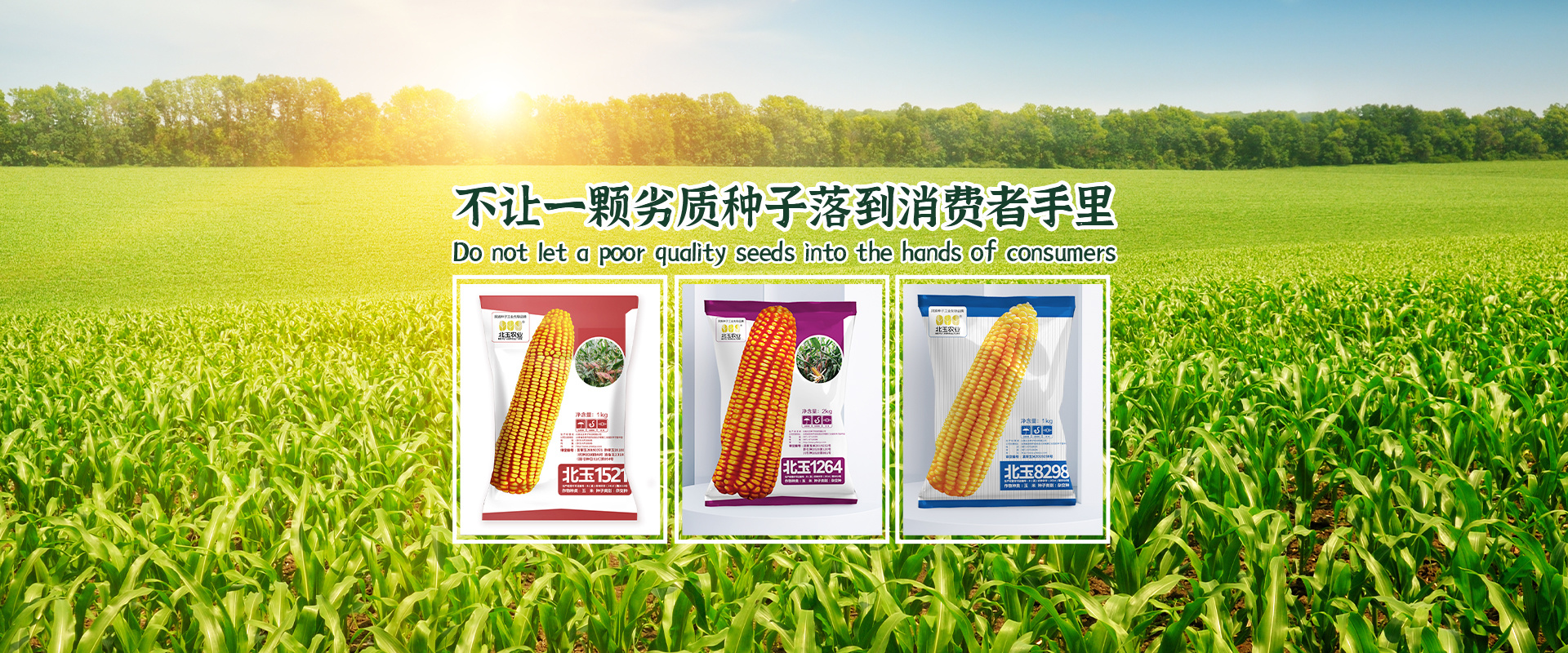 不讓一顆劣質種子落到消費者手里