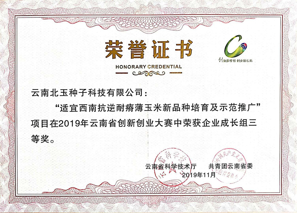 企業(yè)成長(zhǎng)組三等獎(jiǎng)