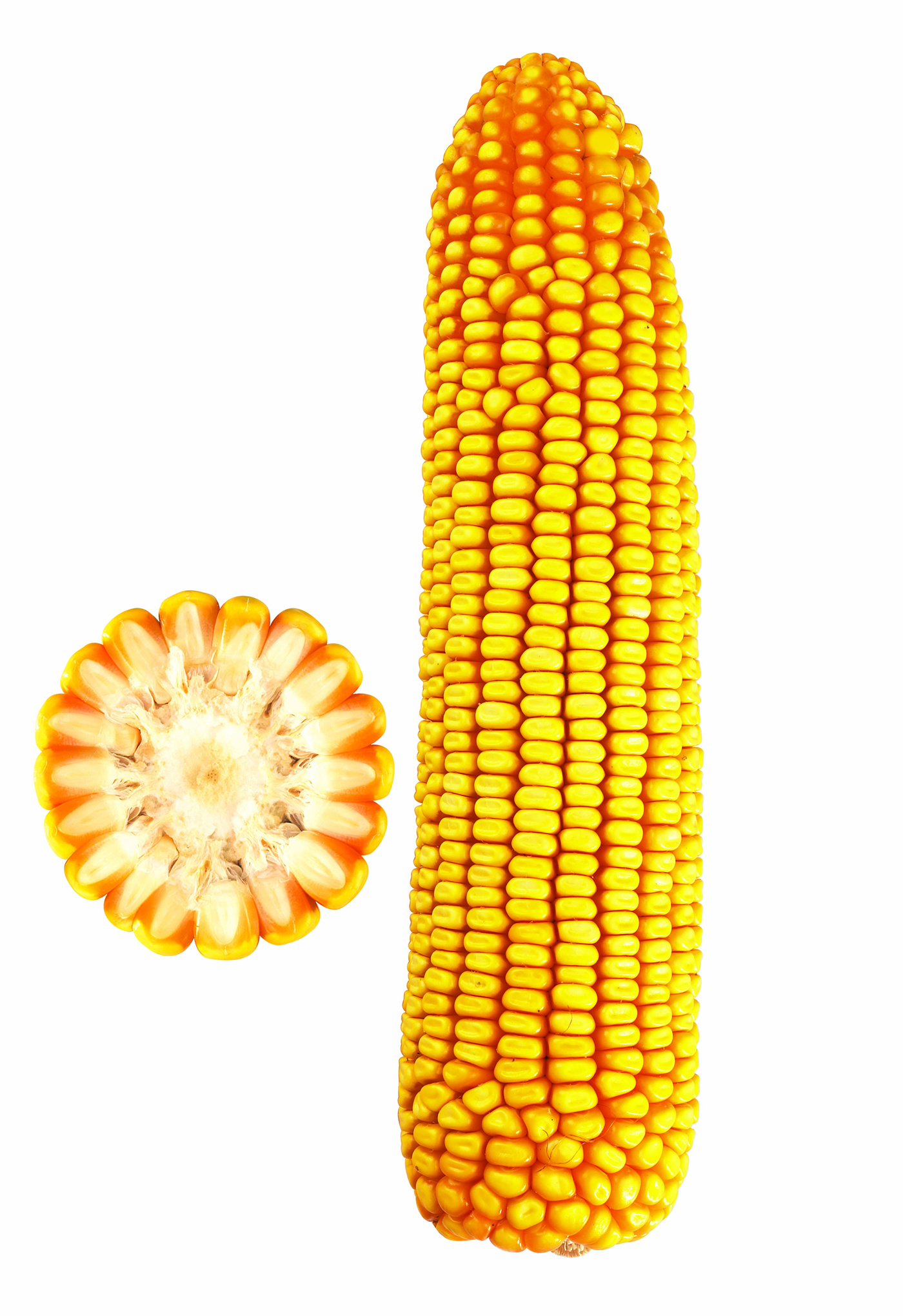 北玉16號(hào)