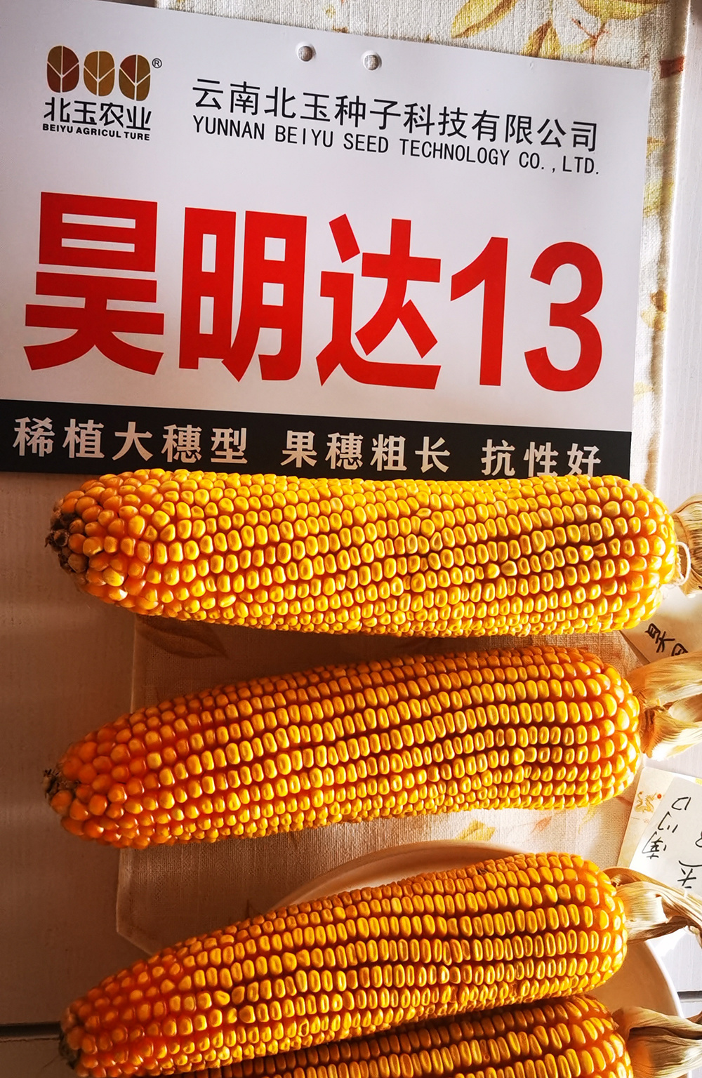 昊明達13