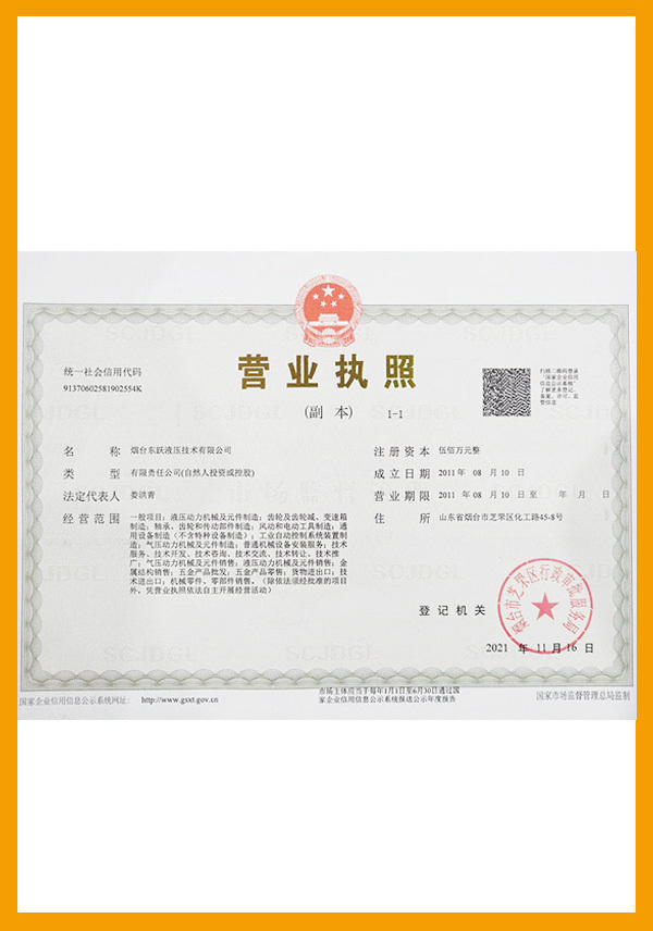 Dongyue Business License