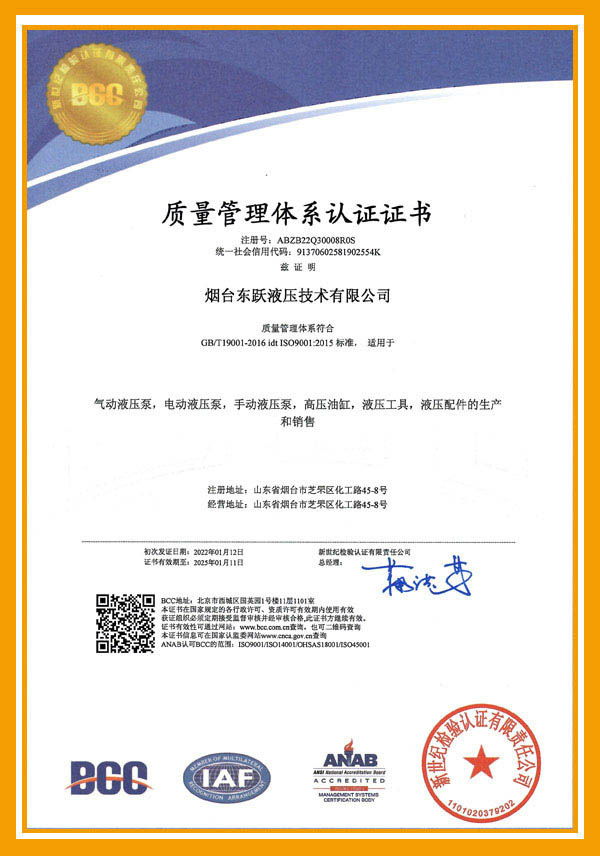 ISO 9001 Quality System Cert (Cn)