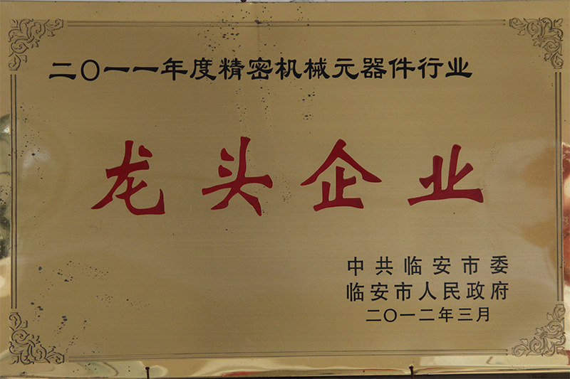 Leading enterprises
