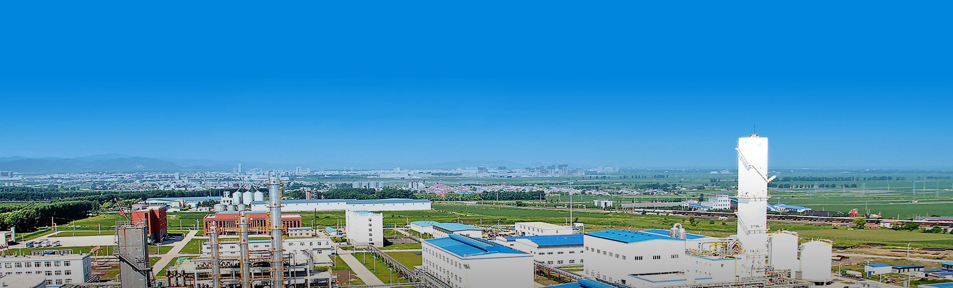 專業(yè)商家