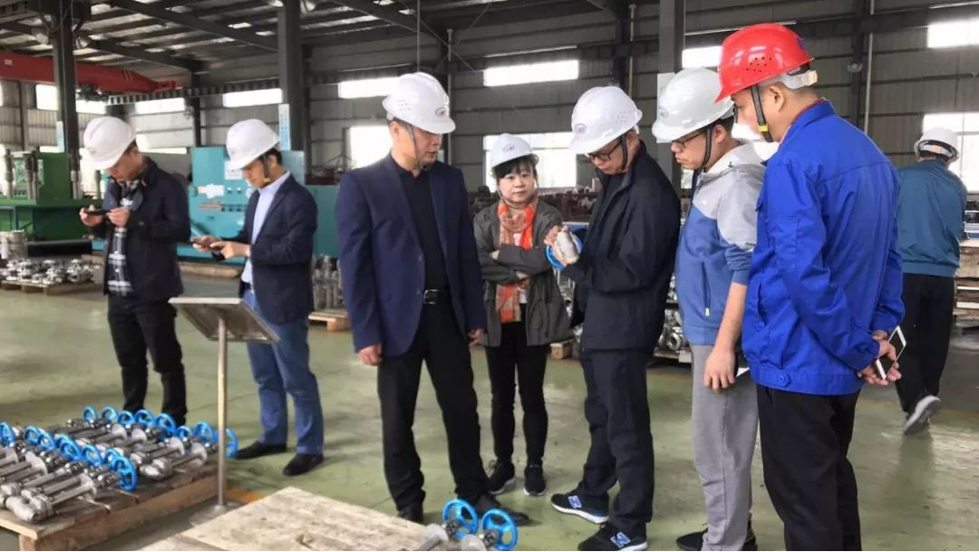 中集安瑞科控股有限公司一行莅临湖北泰和考察
