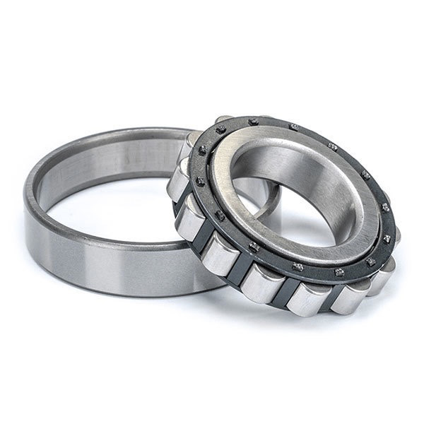 Cylindrical Roller Bearings N2xx & N3xx Series