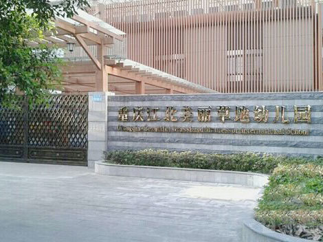案例展示六