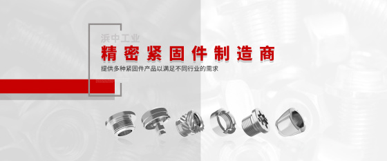 滨中元川金属制品（昆山）有限公司_螺栓_螺母