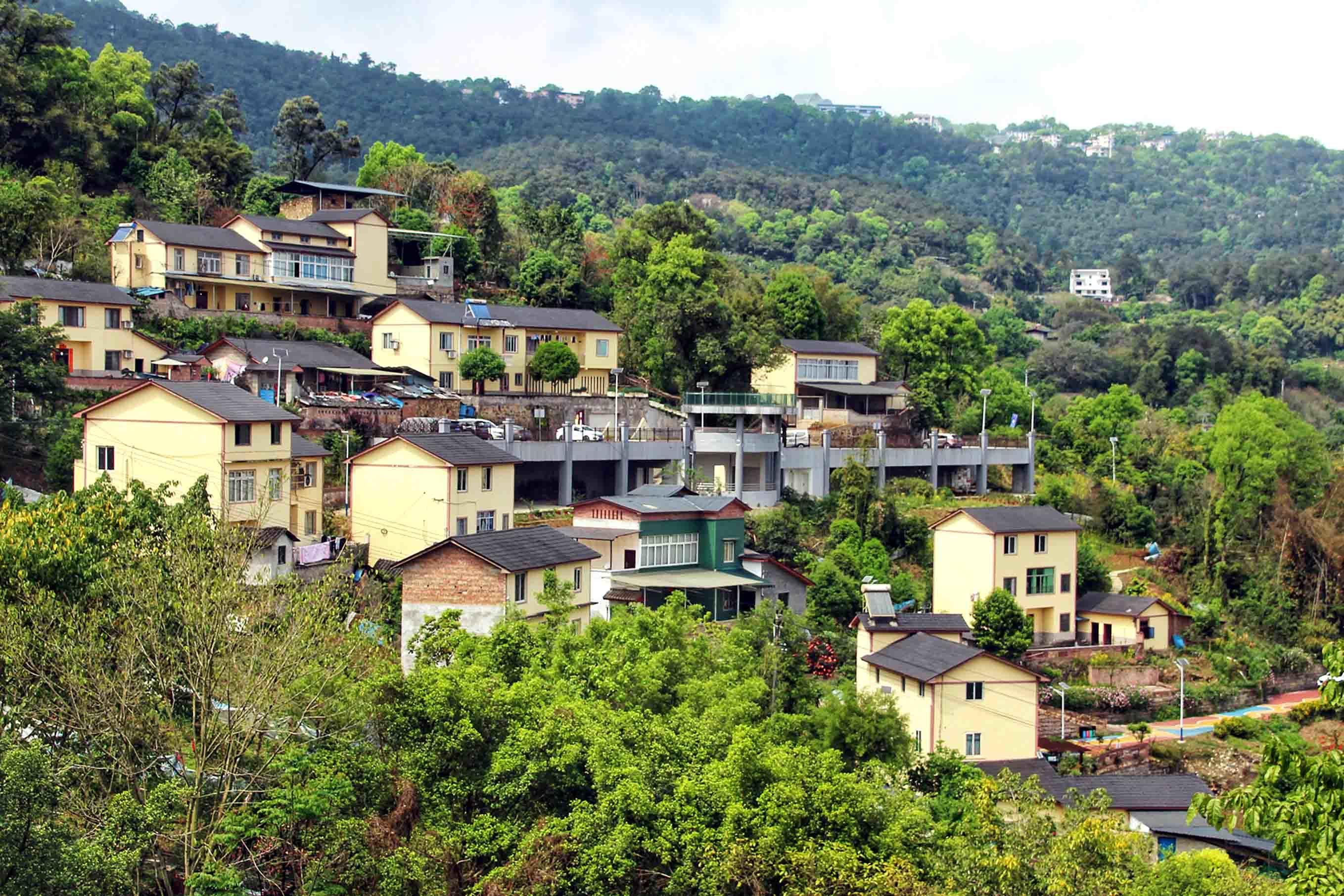 深圳市南山区丁头村图片