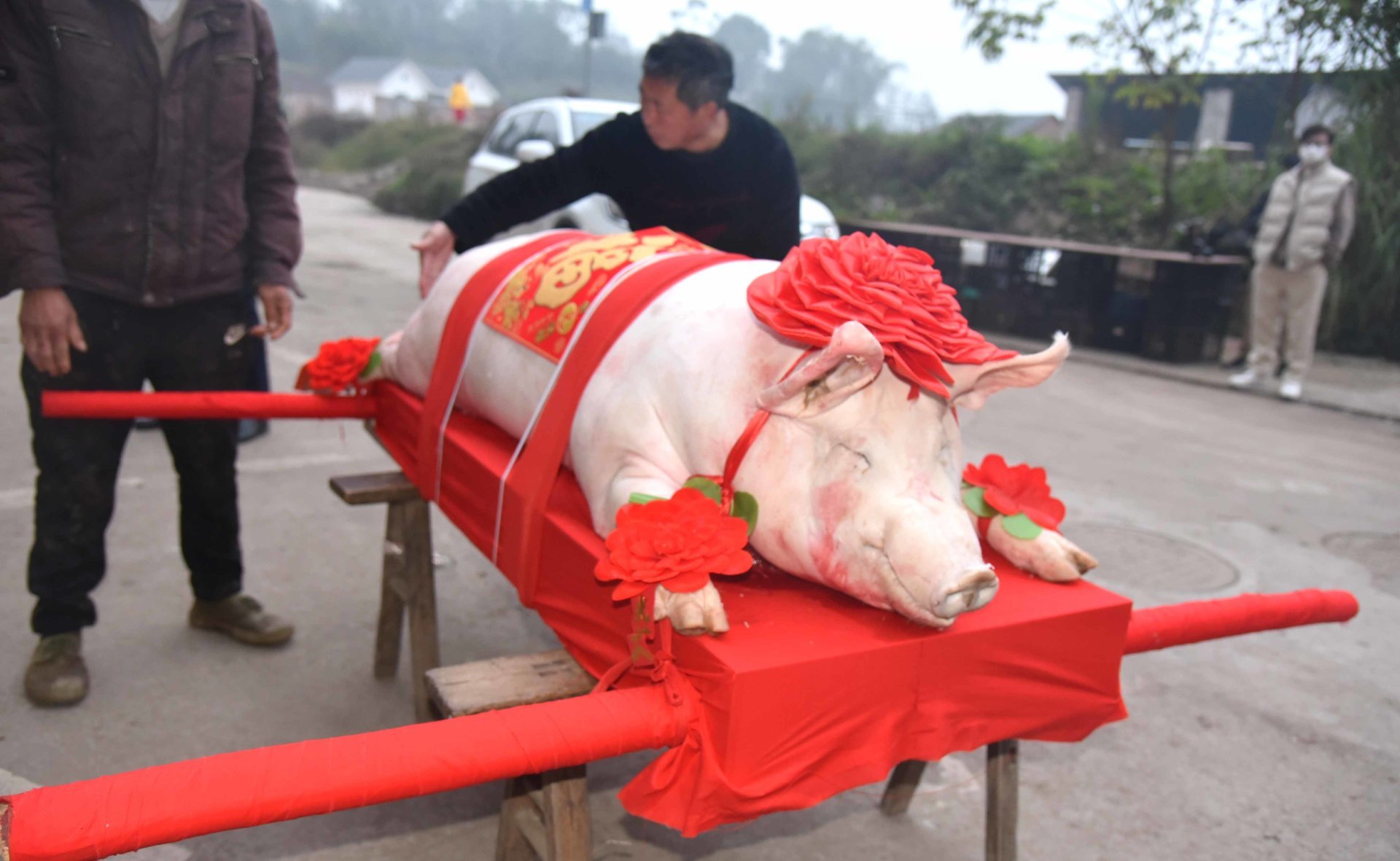 慈云镇第六届生态年猪民俗文化节，祈福风调雨顺五谷丰登