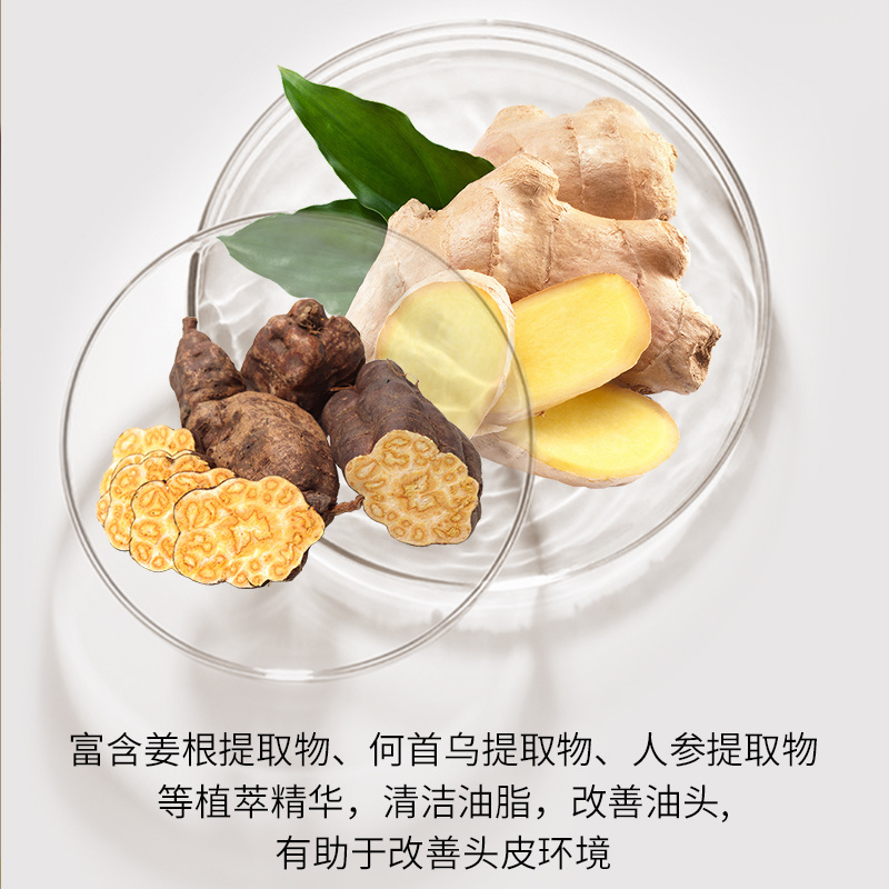 生姜洗發水何首烏側柏葉無硅油溫和蓬松發根洗發水沐浴露套裝洗頭膏洗發露
